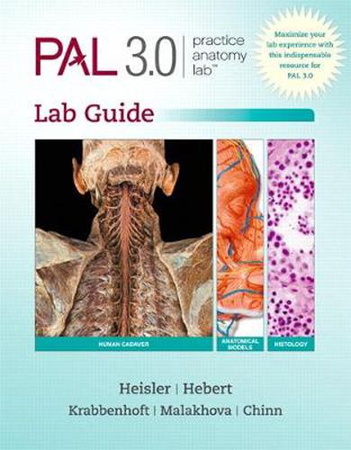 Practice Anatomy Lab 3.1 Lab Guide