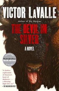 Cover image for The Devil in Silver: A Novel