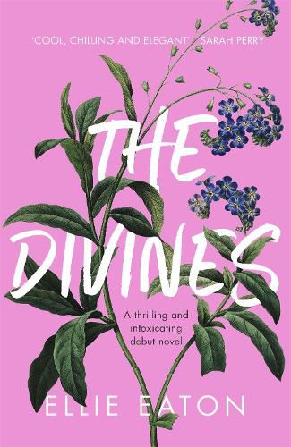 Cover image for The Divines: A razor-sharp, perfectly twisted debut