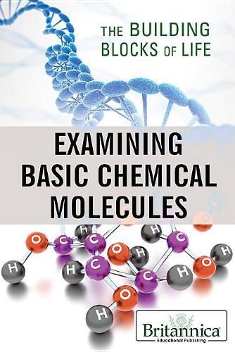 Examining Basic Chemical Molecules