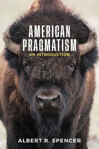 Cover image for American Pragmatism: An Introduction