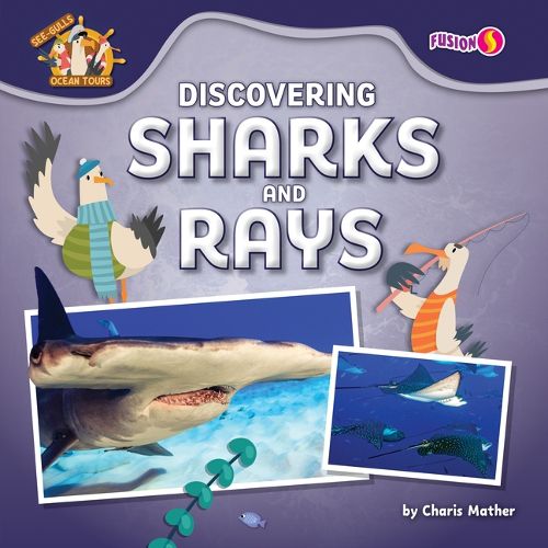 Cover image for Discovering Sharks and Rays