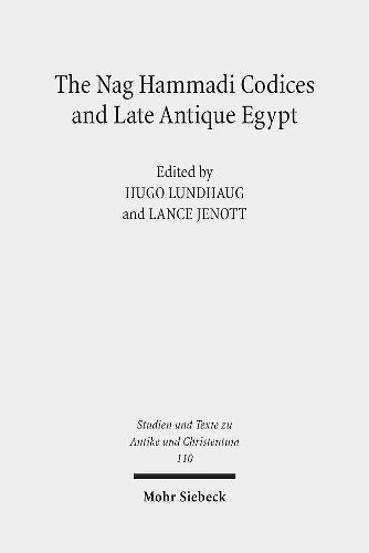 Cover image for The Nag Hammadi Codices and Late Antique Egypt