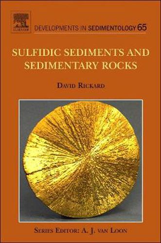 Cover image for Sulfidic Sediments and Sedimentary Rocks