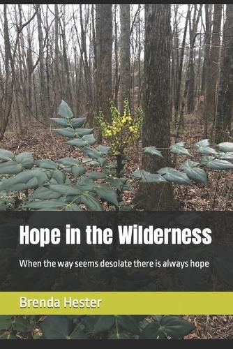 Cover image for Hope in the Wilderness