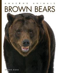 Cover image for Brown Bears