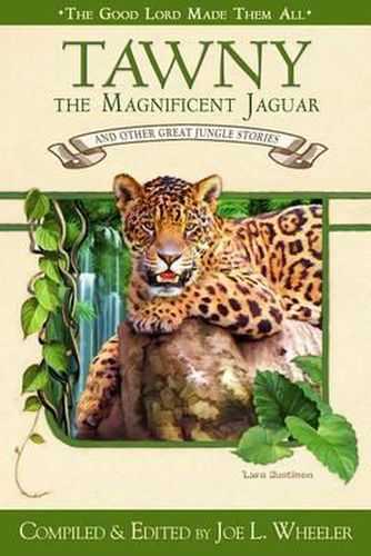 Cover image for Tawny the Magnificent Jaguar and Other Jungle Stories