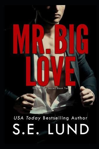 Cover image for Mr. Big Love: The Mr. Big Series: Book Two