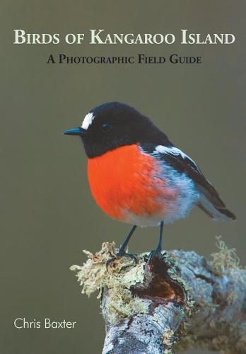 Cover image for Birds of Kangaroo Island: A Photographic Field Guide