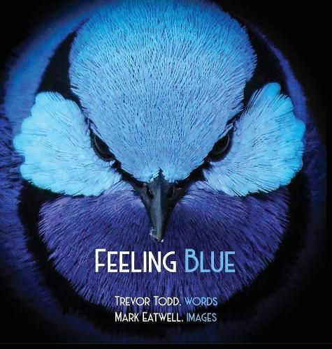 Cover image for Feeling Blue