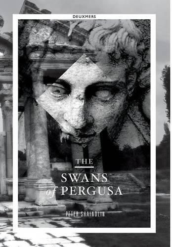 Cover image for The Swans of Pergusa