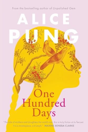 Cover image for One Hundred Days