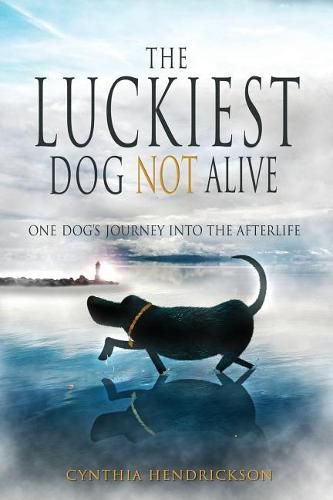 Cover image for The Luckiest Dog Not Alive