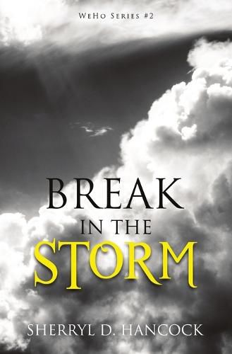Cover image for Break in the Storm