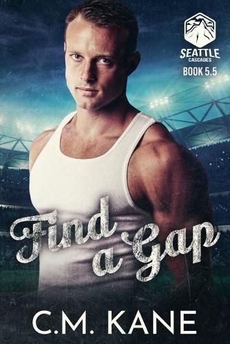 Cover image for Find a Gap