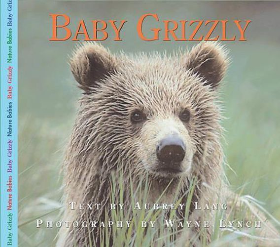 Cover image for Baby Grizzly