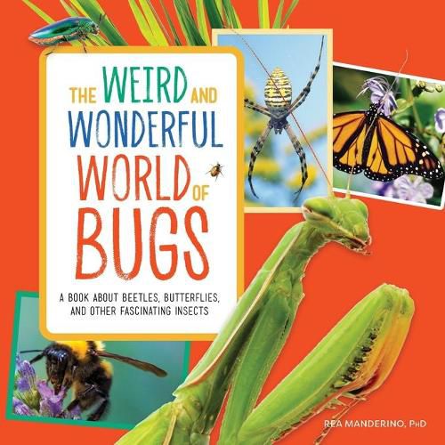 Cover image for The Weird and Wonderful World of Bugs: A Book about Beetles, Butterflies, and Other Fascinating Insects