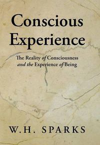 Cover image for Conscious Experience