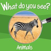 Cover image for What Do You See: Animals