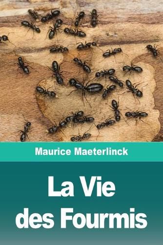 Cover image for La Vie des Fourmis