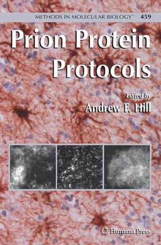 Cover image for Prion Protein Protocols