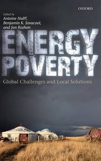 Cover image for Energy Poverty: Global Challenges and Local Solutions