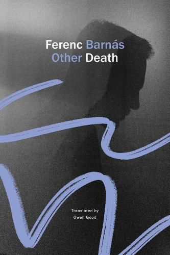 Cover image for Other Death