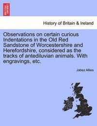 Cover image for Observations on Certain Curious Indentations in the Old Red Sandstone of Worcestershire and Herefordshire, Considered as the Tracks of Antediluvian Animals. with Engravings, Etc.