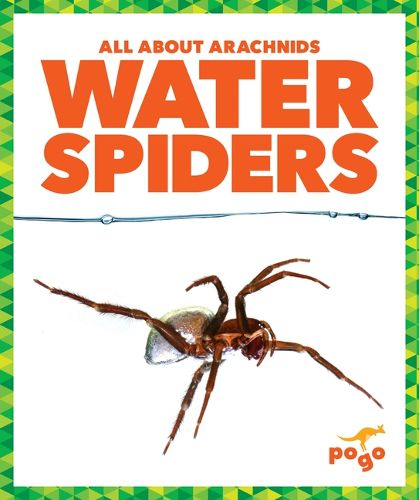 Cover image for Water Spiders