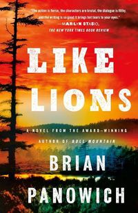 Cover image for Like Lions