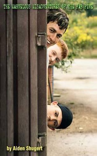 Cover image for The Marvelous Misadventures of the Fab Five