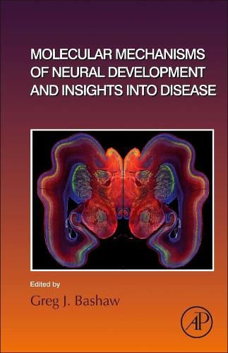 Cover image for Molecular Mechanisms of Neural Development and Insights into Disease