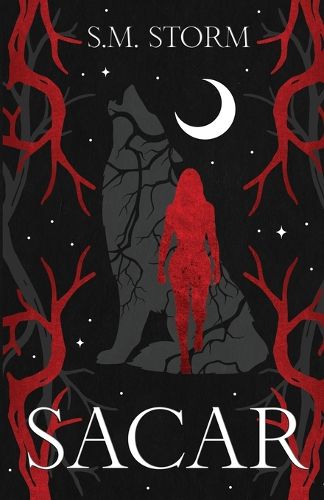 Cover image for Sacar