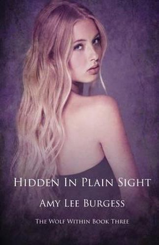 Cover image for Hidden in Plain Sight