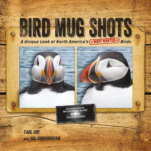 Cover image for Bird Mug Shots: A Unique Look at North America's Most Wanted Birds