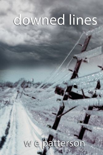 Cover image for downed lines