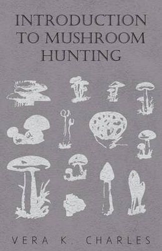 Cover image for Introduction To Mushroom Hunting