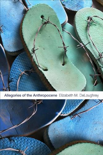 Cover image for Allegories of the Anthropocene