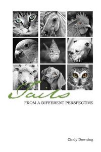 Cover image for Tails from a Different Perspective