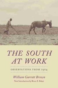 Cover image for The South at Work: Observations from 1904