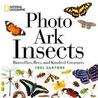 Cover image for National Geographic Photo Ark Insects: Butterflies, Bees, and Kindred Creatures