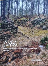 Cover image for Cilfai: The History and Heritage Features on Kilvey Hill, Swansea