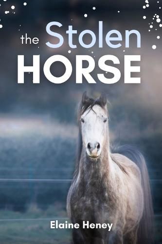 The Stolen Horse: Book 4 in the Connemara Horse Adventure Series for Kids | The Perfect Gift for Children age 8-12