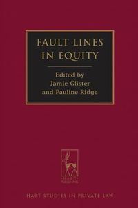 Cover image for Fault Lines in Equity