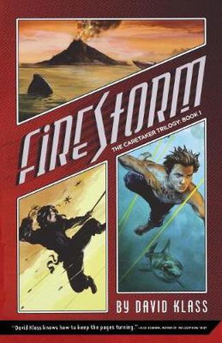 Cover image for Firestorm