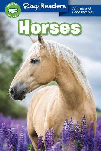 Cover image for Horses
