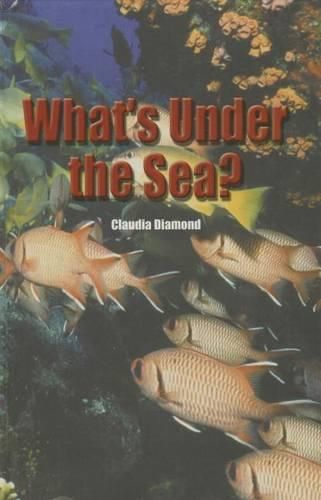 Cover image for What's Under the Sea?