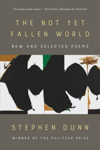 Cover image for The Not Yet Fallen World