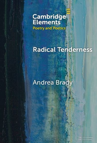 Cover image for Radical Tenderness