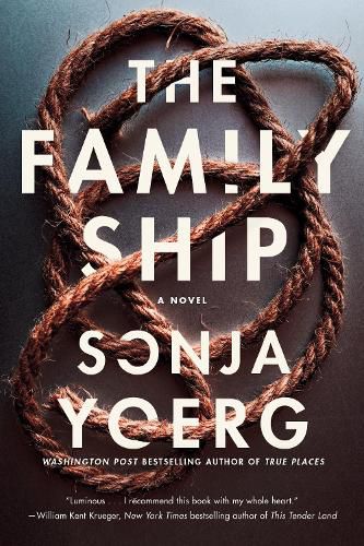 Cover image for The Family Ship: A Novel